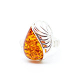Baltic Beauty Rings Shell Design Amber Ring