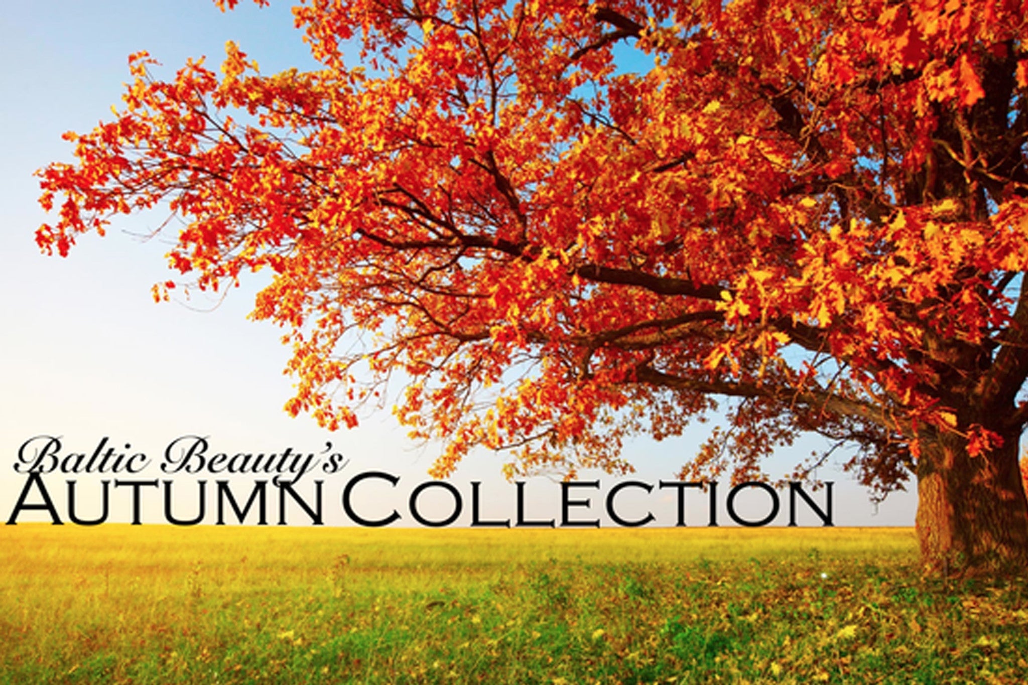 Baltic Beauty Blog-Baltic Beauty