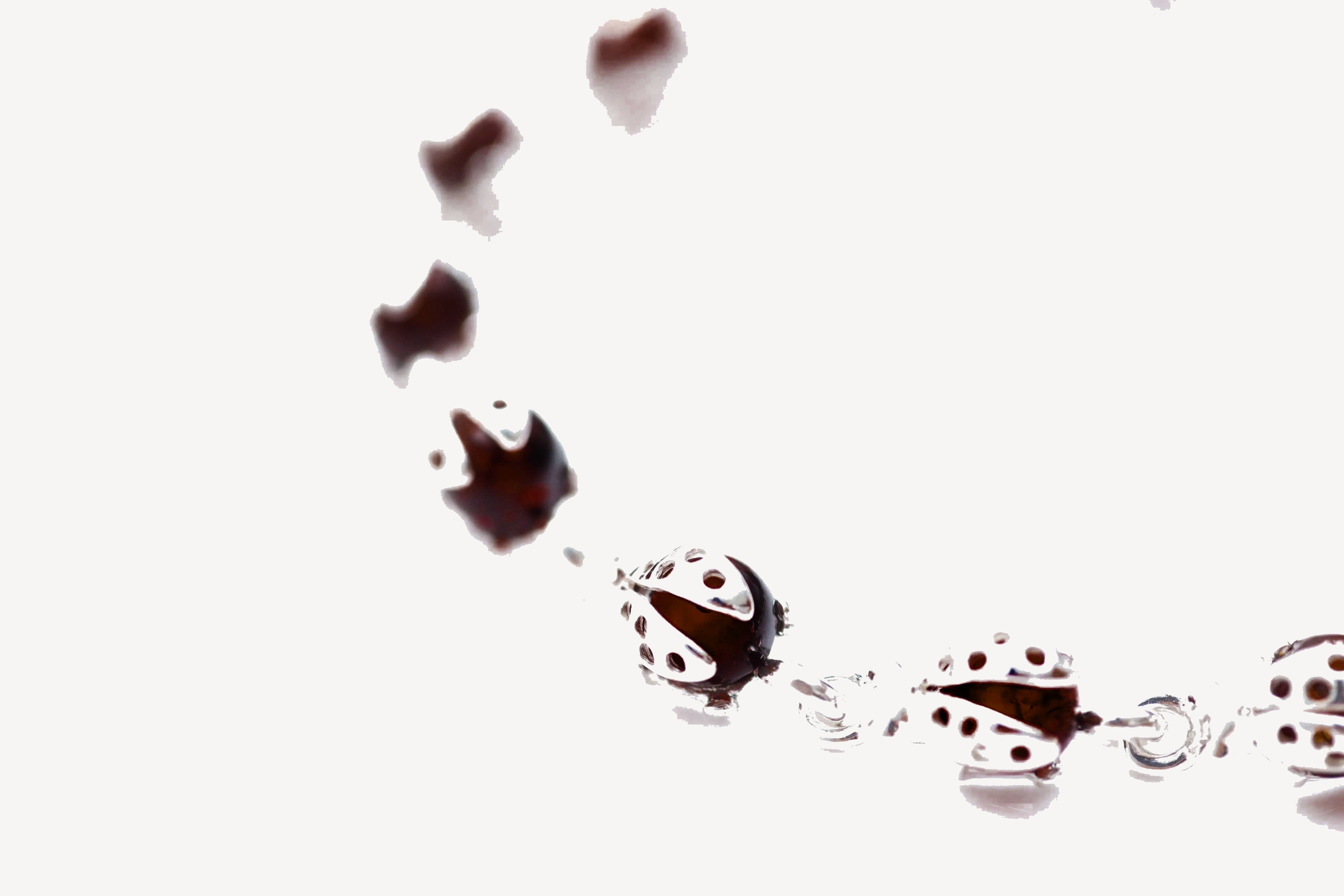 Cherry Red Ladybird Bracelet — Baltic amber and sterling silver jewellery by Baltic Beauty