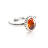 Mini Amber Quintessence Ring- Rings- Baltic Beauty