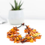 Multi Strand RAW Amber Necklace- Necklaces- Baltic Beauty