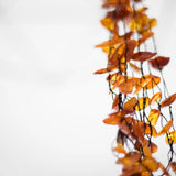 Multi Strand RAW Amber Necklace- Necklaces- Baltic Beauty