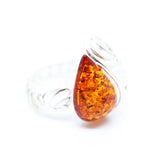 Baltic Beauty Rings Shell Design Amber Ring