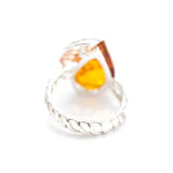 Shell Frame Amber Ring- Rings- Baltic Beauty