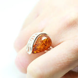 Baltic Beauty Rings Shell Design Amber Ring