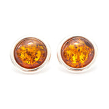 Statement Round Amber Stud Earrings- Earrings- Baltic Beauty