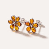 Amber Daisy Stud Earrings — Baltic amber and sterling silver jewellery by Baltic Beauty
