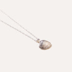Amber Sea Shell Necklace — Baltic amber and sterling silver jewellery by Baltic Beauty