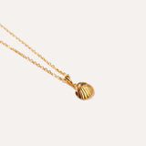 Gold Pearl Sea Shell Necklace — Baltic amber and sterling silver jewellery by Baltic Beauty