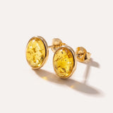 Oval Citrus Amber and Gold Stud Earrings — Baltic amber and sterling silver jewellery by Baltic Beauty
