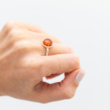 ESSENTIALS Amber Solitaire Ring- Rings- Baltic Beauty